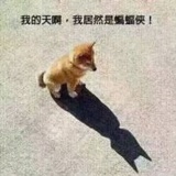 沐华6888