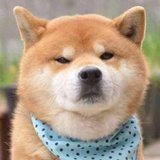 永远十八帅气胡