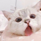 不能再买了