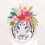 May 🐯