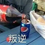 97951213