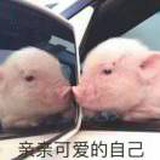 THE9解散官博