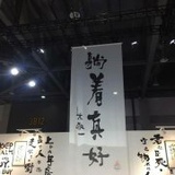 在没有你的城市
