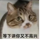 青松落色