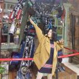 在风中飘摇
