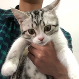 源