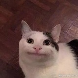 雪球