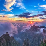 莲