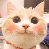 还是特喵哟啊