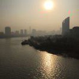 强仔