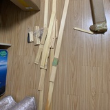 鲍勃