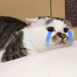 咩咩
