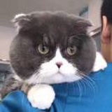 小黄瓜