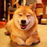 头