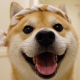 阿莫西林