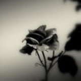 承接装饰印象古