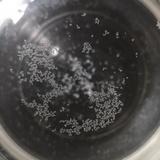 积极点儿