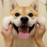 夏天
