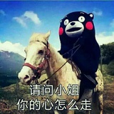 竹花夜如玉