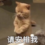 你们不要再打啦