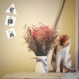 一粒傻白