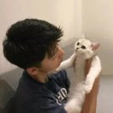 尬得发热👏