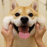 林家小大