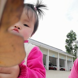 小李子