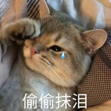 很没life