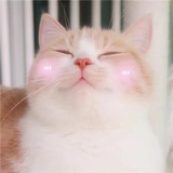 「暮醒」