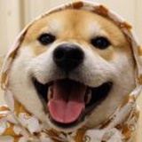 陈茜