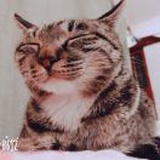 Never-give-up_L