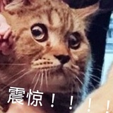 妍妍大神