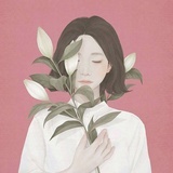 北宇