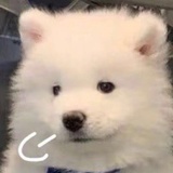 要和熬夜说拜拜