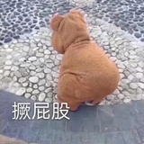 梅梅梅梅梅子