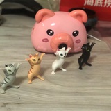 严小橙
