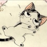打鸡血的傻猫