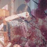 朵妮