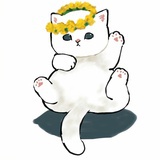 豆豆兜兜