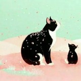 亲爱的啊喵呀