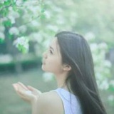 紫梦仙雪