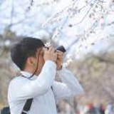 梧桐雨~