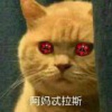 高配草履虫
