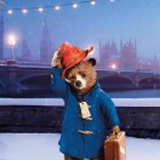 tom🐻
