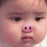 Asd乱打的