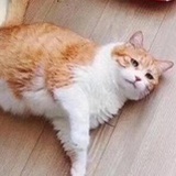 岳咻辉