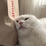 你的小阿姨