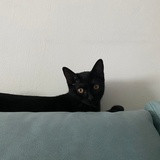 Zoey-W