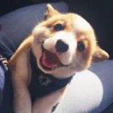 小oooooo